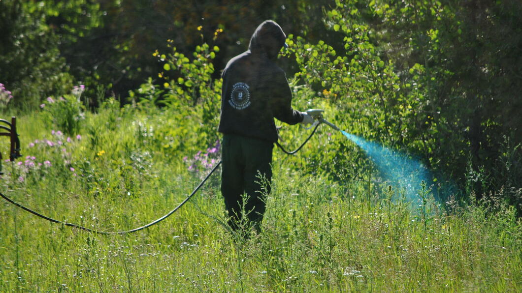 Gif spuiten in natuur
