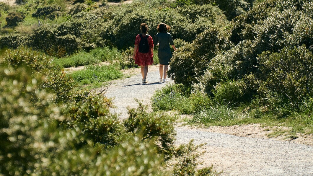 wandelaars in de duinen