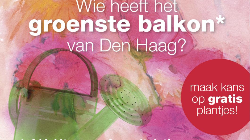Groenste Balkon 2017