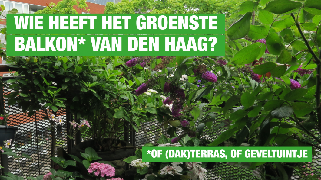 Groenste balkon - fp.png