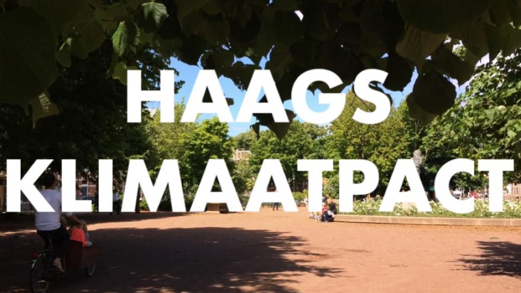 Haags Klimaatpact