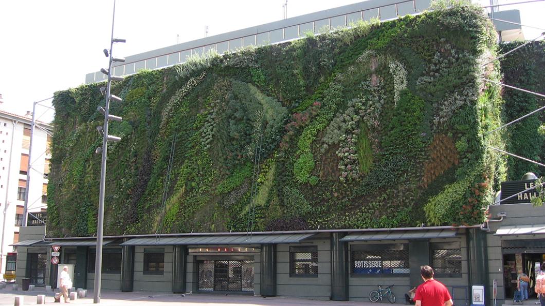 Mur_vegetal_avignon_jour1.jpg