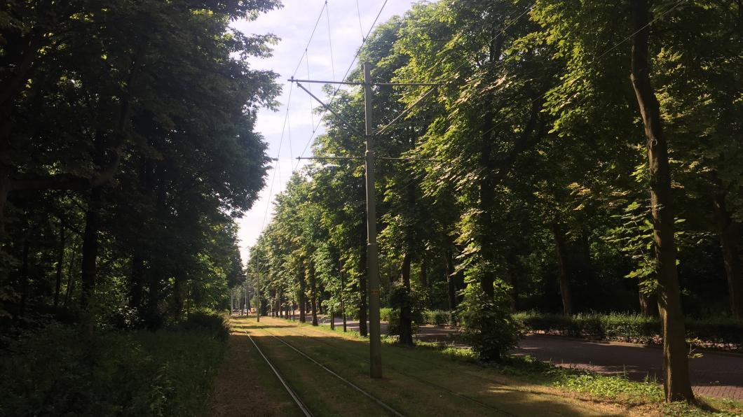 Scheveningseweg Den Haag