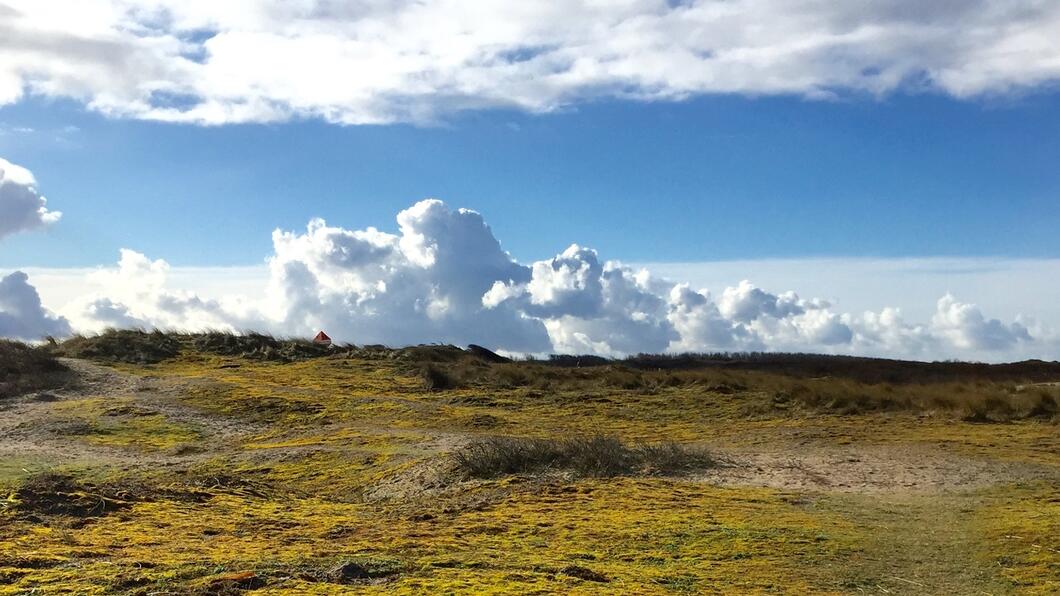 Beschermd natuurgebied Westduinpark Beschermd natuurgebied Westduinpark