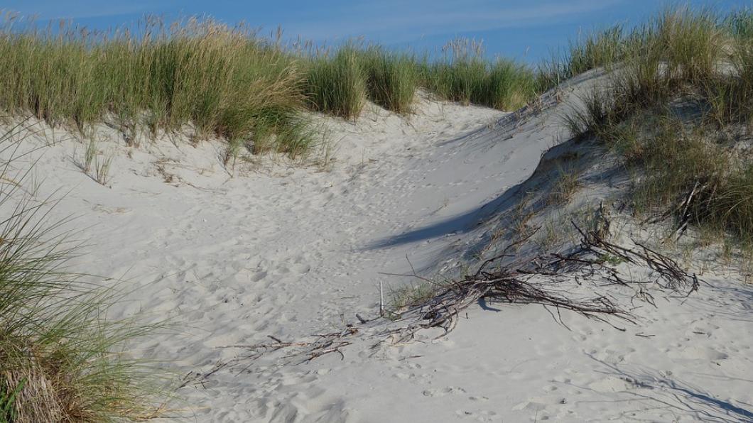 sand-dunes-406389_960_720.jpg