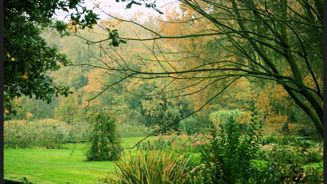 westbroekpark.jpg