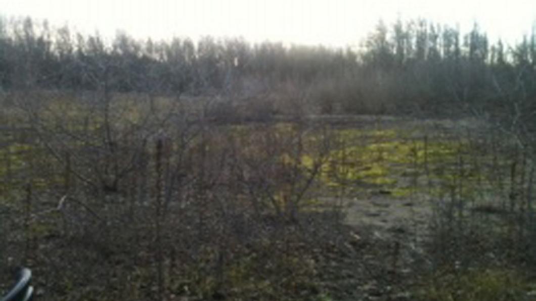 bodemverontreiniging westduinpark.jpg