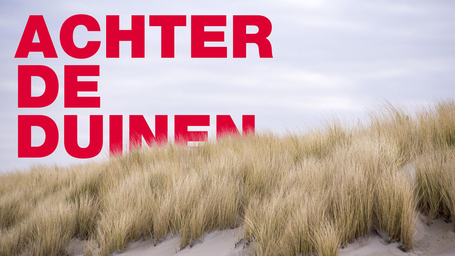 Podcast Achter De Duinen | GroenLinks Den Haag