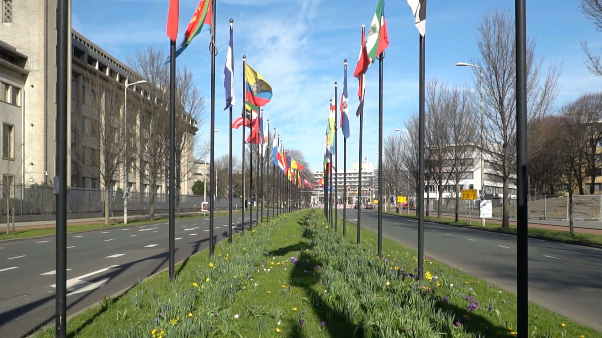 vlaggen bij het World Forum in Den Haag