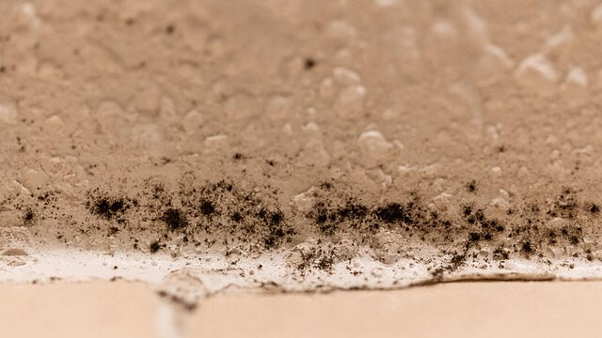 Zwarte schimmel in een badkamer