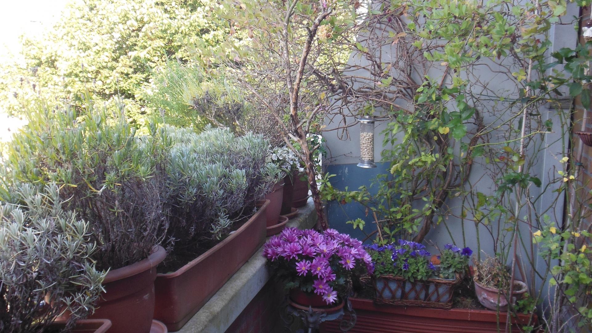 DSCN0548.JPG