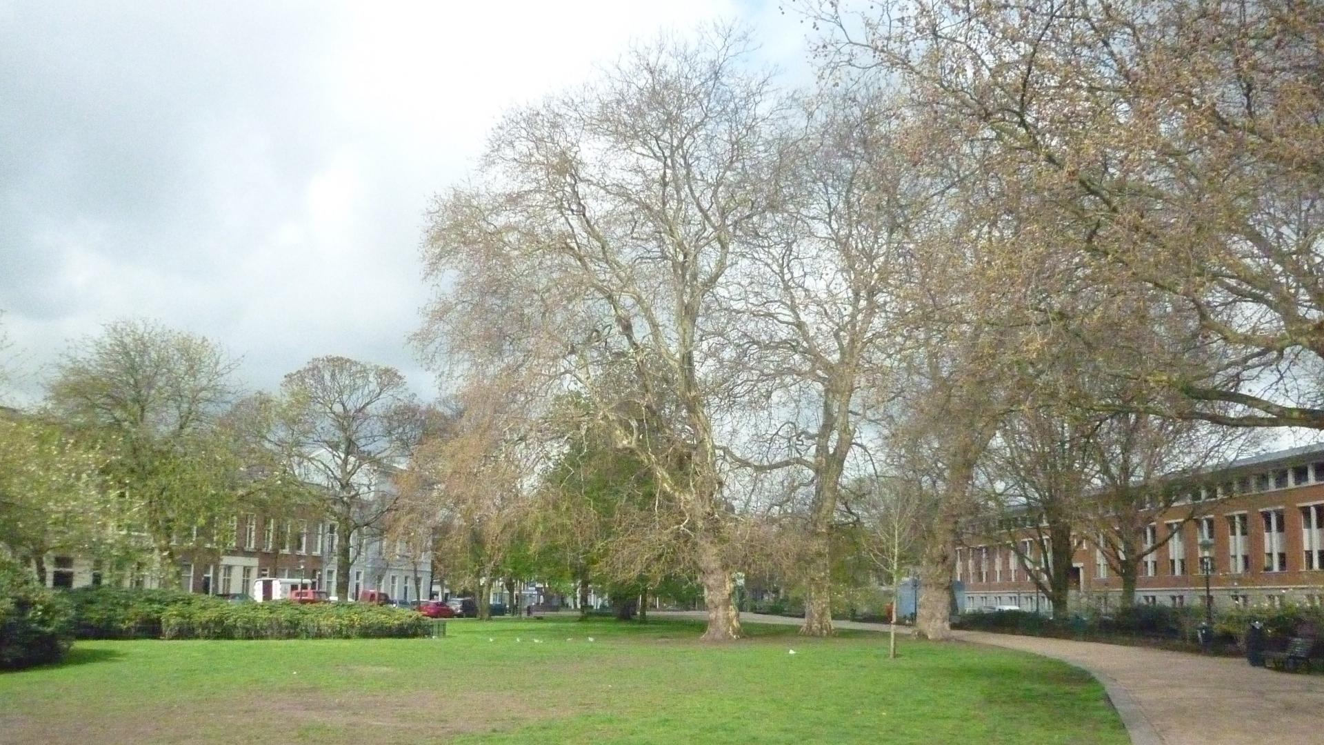 Huygenspark.JPG