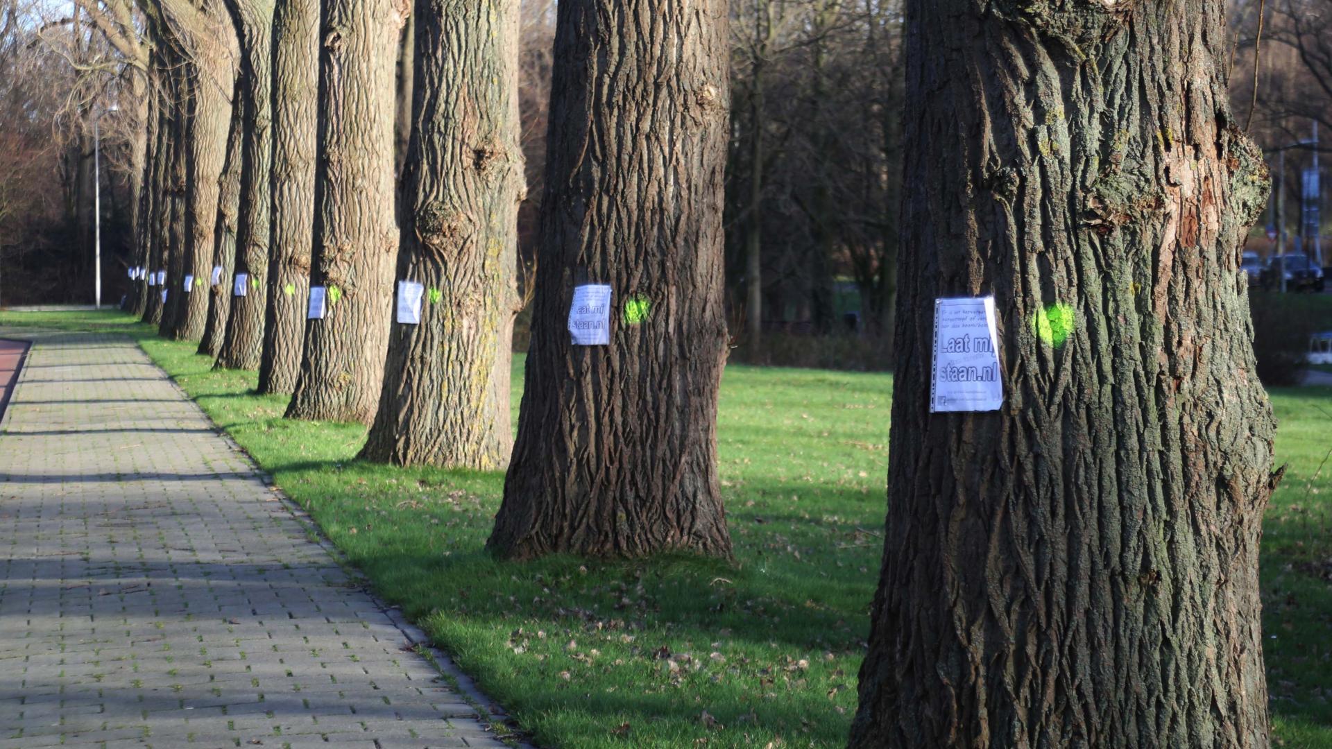 Foto: Laatmijstaan.nl