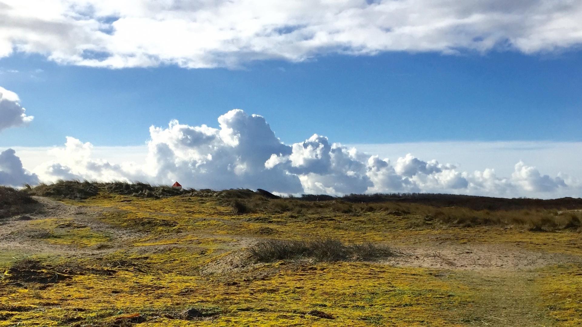 Beschermd natuurgebied Westduinpark