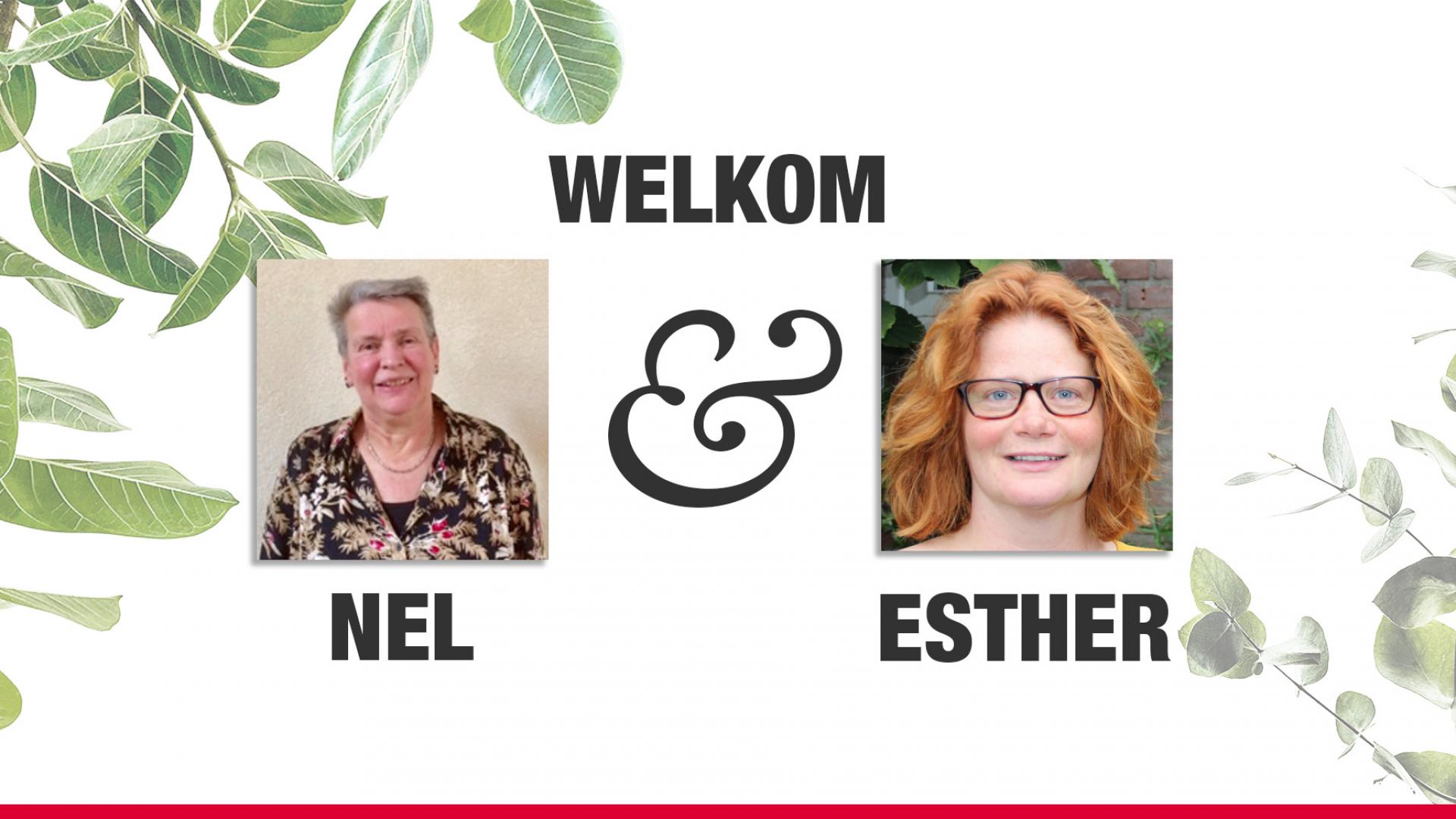 2020-05-07_nel-esther.jpg