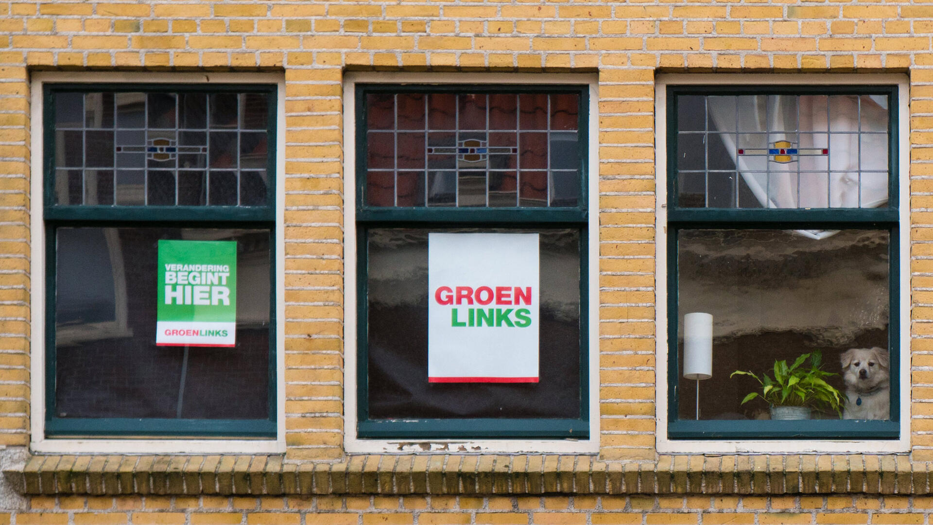 Raamposter GroenLinks